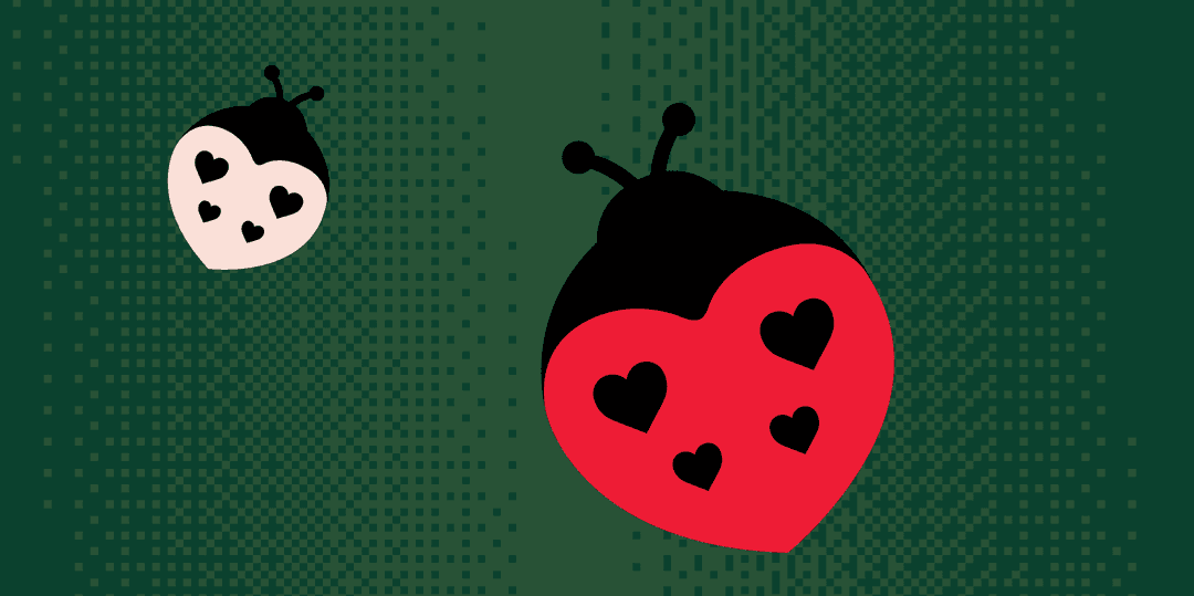 Love Bugs