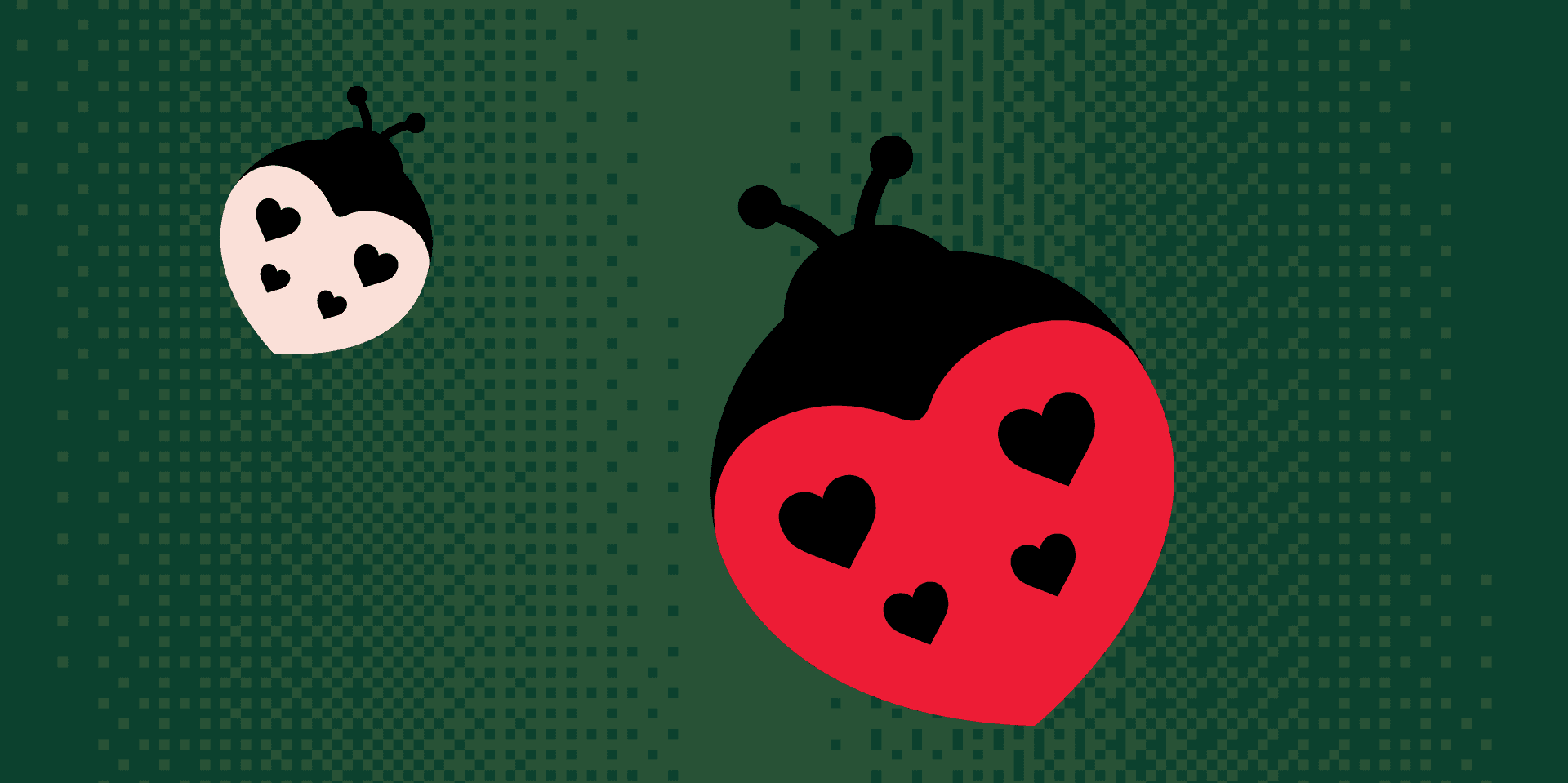 Love Bugs